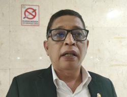 Dewan Statistik Nasional Tak Bisa Intervensi Lembaga