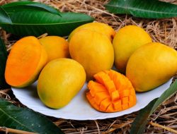 Mangga Indramayu, Si Harum Manis yang Jadi Ikon Buah Nusantara