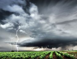 BMKG Peringatkan Cuaca Ekstrem di Kalsel, Warga Diminta Waspada