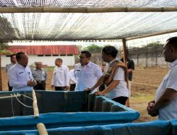 Lapas Atambua Luncurkan Budidaya Lele, Bekali Warga Binaan Keterampilan Wirausaha